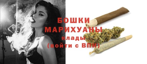 СК Тында