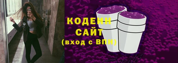 прущий лед Туринск