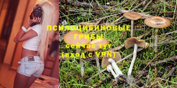 СК Тында