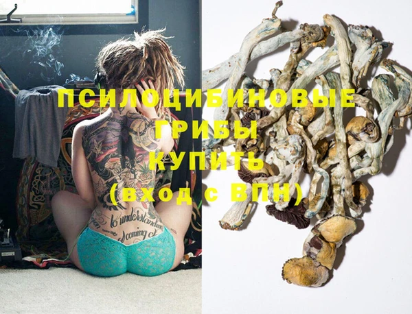 СК Тында