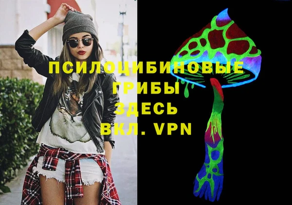 мяу мяу мука Тутаев