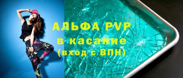 СК Тында