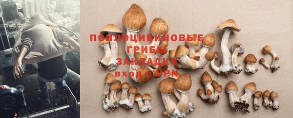 мяу мяу мука Тутаев