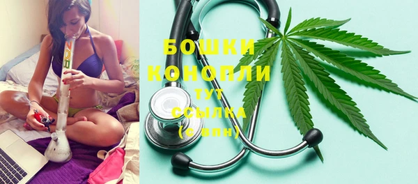 мяу мяу мука Тутаев