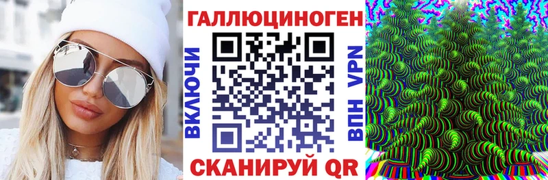 Купить  Инсар  Псилоцибиновые грибы GOLDEN TEACHER 